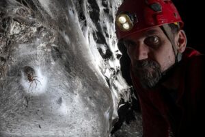 Video. A 106-meter web is home to more than 110,000 spiders